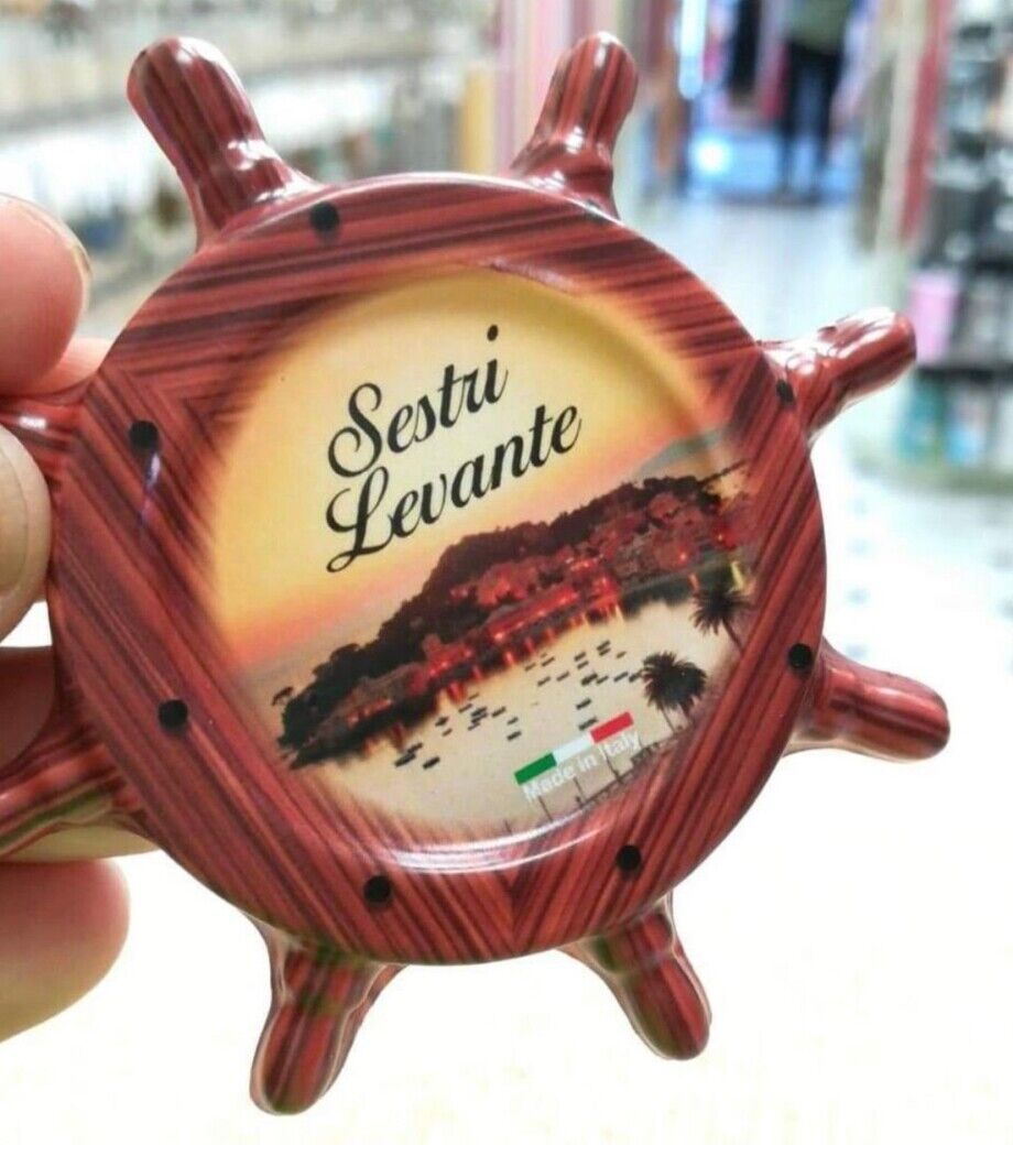 calamite di resina calamite souvenirs